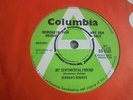 Herman's Hermits - My Sentimental Friend 1969 UK 45 COLUMBIA DEMO EX+