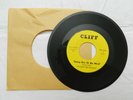 45 RPM, The Giant Red Jellybean, I Need Her, NM, RARE 1967 INDIANA GARAGE BAND