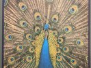 The Bluetones ?– Expecting To Fly - BLUELPG 004 -Limited Edition