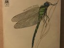 VINTAGE LP VINYL RECORD THE STRAWBS DRAGONFLY LYRICS INSERT 1970