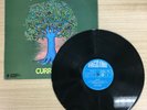 [USED LP]PLASTIC PENNY/CURRENCY(POLS014)