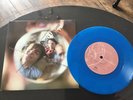 CROWDED HOUSE . DON’T DREAM IT’S OVER . MINT UNUSED 7” COLOUR VINYL  Rare Ltd ed