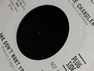 Lorraine Chandler 45-She Don't Want You 47-8980 1966 RCA  promo RARE VINTAGE SOU