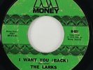Larks 