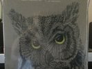NEEDTOBREATHE Live From The Woods 2LP VINYL IN SHRINK