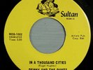 HEAR IT 60's Northern Soul Garage 45 rpm Denny & Dukes 