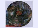 Black Midi Cavalcade Limited Edition Picture Disc Sold Out