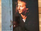 Chris Norman ?– Break The Ice - 1989 Vinyl LP - Very Good (VG+/VG) - PTLP009