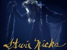 Stevie Nicks The 24 Karat Gold Tour 2xDiscs New Vinyl LP Album