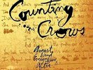 ID99z-Counting Crows-August And Everythin-vinyl LP-New