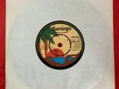 Alma Faye Don't Fall In Love / I Believed 1979 NORTHERN 7