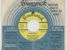 Rock/ Funk/ Soul, JOHNNY JONES AND THE KING CASUALS, Purple Haze, Brunswick - VG