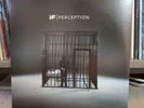NF - Perception Vinyl
