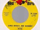 006 Like What Me Worry 45 ORIG 1966 US RED BIRD ALL TIME KILLER HARD FUZZ GARAGE