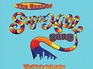 RAPPER'S DELIGHT: THE BEST OF SUGARHILL GANG [2/5] NEW VINYL