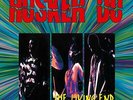 Husker Du-Living End (2LP Coloured) VINYL NEUF