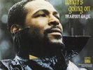 Marvin Gaye-What's Going On Vinyl / 12