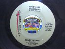SANDY WYNNS  LOVES LIKE QUICKSAND   Canterbury  Northern Soul Original