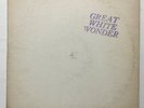 BOB DYLAN Great White Wonder no lbl no # VG 2 LPs not TMOQ Degritter