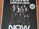 THE FLAMIN' GROOVIES Flamin' Groovies Now ORIGINAL 1978 UK LP