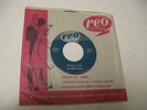 **The Night Hawks/ Explain To Jane b/w You Did/ Reo/ 1960/ Canada/ Rare