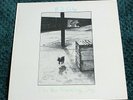 B.J. COLE THE NEW HOVERING DOG 1972 UK LP UNITED ARTISTS UAS 29418 PORKY / PECKO