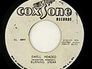 Burning Spear 