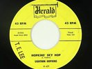 Blues Rocker 45 - Lightnin Hopkins - Hopkins' Sky Hop - Herald - mp3
