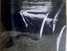 BILL EVANS & JIM HALL “Undercurrent” FACTORY SEALED Vinyl LP MFSL MOFI numbered