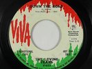 Garage Psych 45 - Loving Years - Down The Road - Viva - mp3