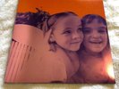 SMASHING PUMPKINS - SIAMESE DREAM - 180 GRAM VINYL 2 LP REISSUE - OUT OF PRINT