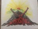 JAMAICA IMPORT BOB MARLEY & THE WAILERS UPRISING LP TUFF GONG 1980 REGGAE VG