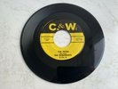 Rare Rockabilly '45 The Runabouts 