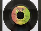 DAMIAN GONG MARLEY Welcome To Jamrock GHETTO YOUTHS Jamaica 7” 45 VINYL REGGAE