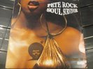 PETE ROCK /  SOUL SURVIVOR   2 lp vinyl set   SOUL  HIP HOP FUNK