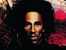 Bob Marley and The Wailers-Natty Dread Vinyl / 12