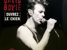 David Bowie Ouvrez Le Chien Live Dallas 95 Vinyl 2LP Brilliant Live Adventures