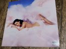 Katy Perry Teenage Dream 2 LP White Vinyl Record Album 2010 Rare Out of Print