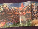 JELLYFISH BELLYBUTTON 1990 ORIG CHARISMA PROMO w/TRI-FOLD OUT COVER INDIE LP