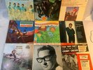 9 50’s/60’s POP/ROCK Vinyl LP Lot- BEACH BOYS BUDDY HOLLY GARY LEWIS HERB ALPERT