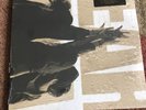 Pearl Jam Ten 180 Gram Pressing Redux New Sealed Soundgarden Mother Love Bone