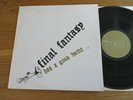 FINAL FANTASY   HAS A GOOD HOME - VINYL LP - U.S TOMLAB RECORDS