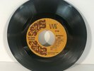 RARE THE PAPER FORTRESS BUTTERFLY HIGH PSYCHEDELIC ROCK 45 SLEEPY HOLLOW PEOPLE