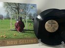 Syd Barrett - An Introduction To Syd Barrett Vinyl LP US Press Capitol