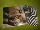 Kin Ping Meh 2 Krautrock Original German Lp 1st.Press Zebra 1972