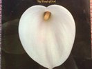 SPENCER JACKSON FAMILY - Hand Of God ABC BLUESWAY LP. Gospel Soul Funk Blues.