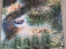 PINK FLOYD - A SAUCERFUL OF SECRETS - VINYL 5TH PRESS 1973 - EXCELLENT COND.