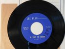 Lee Alan 1964 A Trip to Miami Beatles Interview 45 RPM Record with extra items