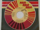 JAMES WALSH GYPSY BAND promo 45 CUZ IT'S YOU, GIRL 