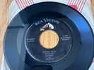 Elvis 